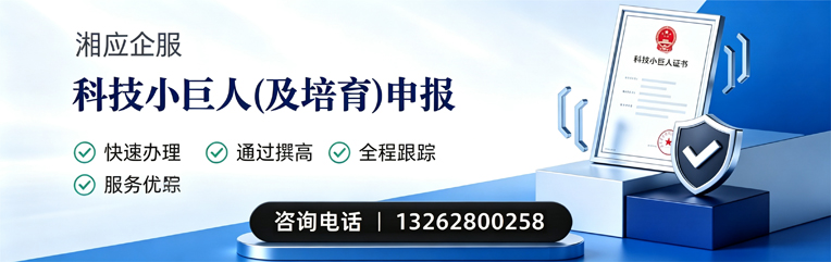 南昌科技小巨人及培育企业申报服务