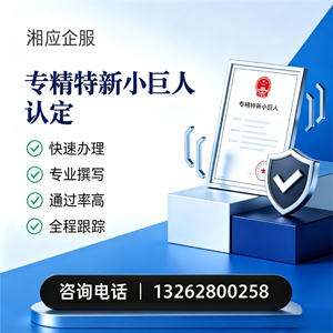 南昌专精特新小巨人申报服务