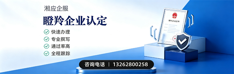 南昌瞪羚企业认定申报服务