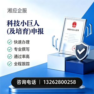 南昌科技小巨人及培育企业申报服务