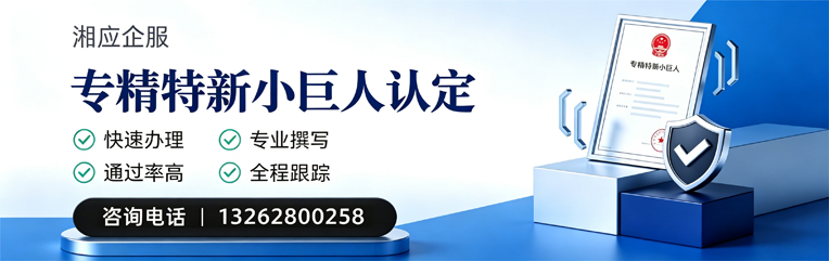 南昌专精特新小巨人申报服务